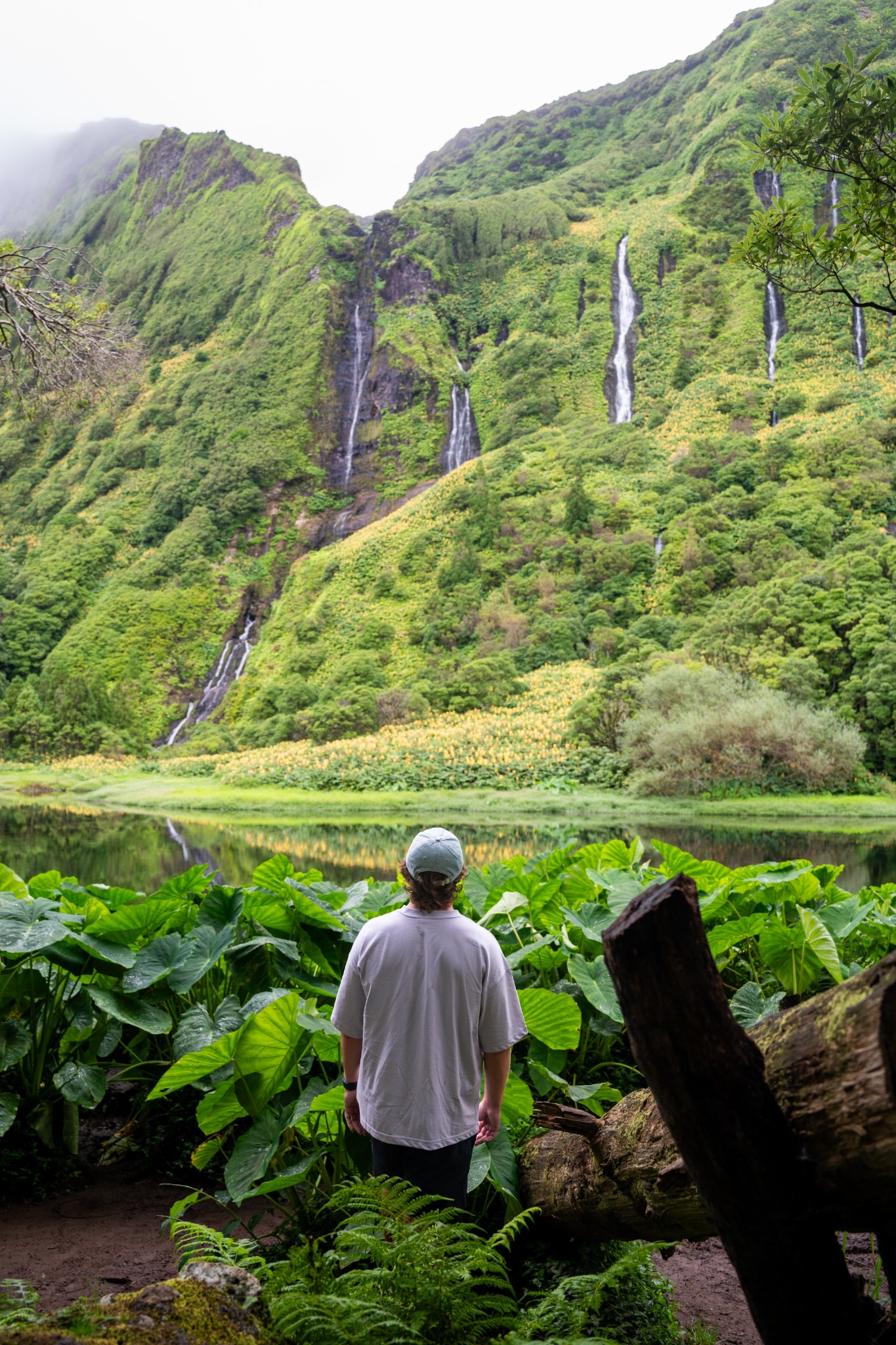 Cascades dans une végétation luxuriante